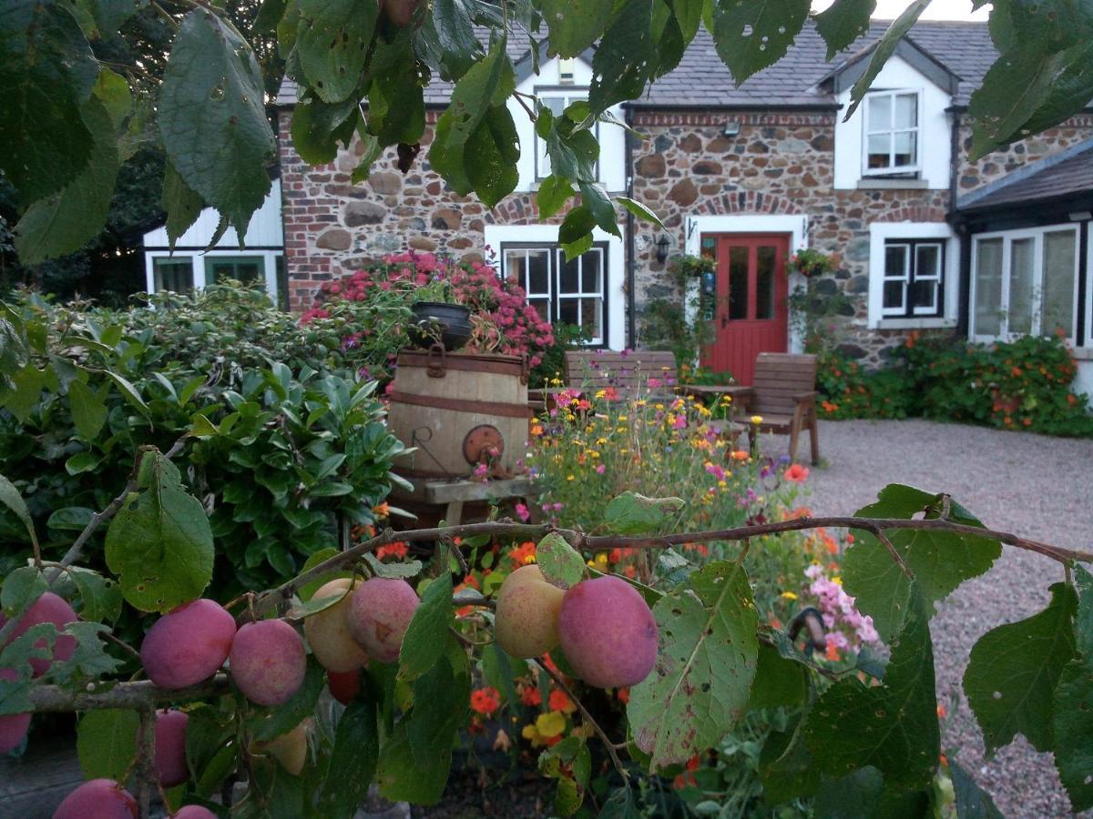 Berwick Hall Cottage Moira  Dış mekan fotoğraf