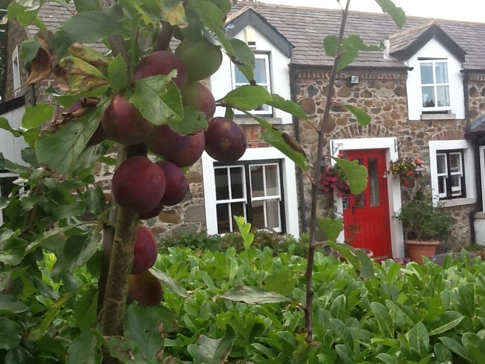 Berwick Hall Cottage Moira  Oda fotoğraf